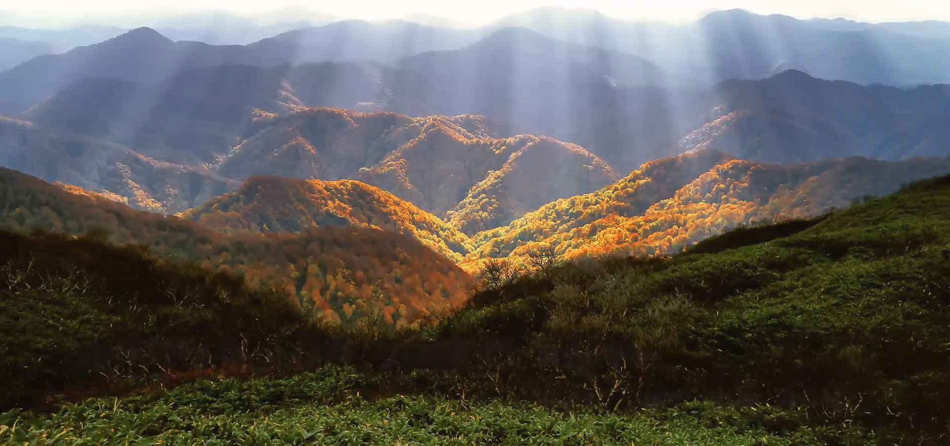 HJ Academic Foundation - Garden Fall Scenery 2023 - 효정학술재단