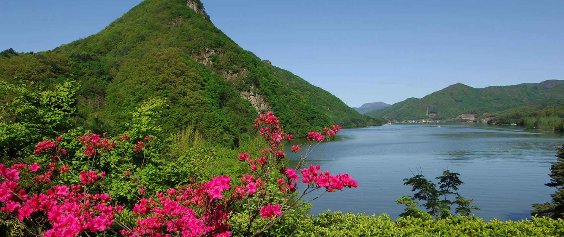 Hyo Jeong Academic Foundation - Garden Spring Scenery - 효정학술재단